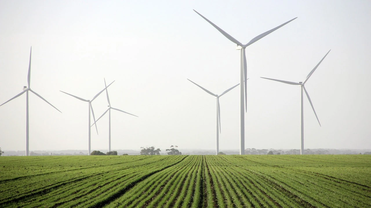 Nueva derrota de España por los recortes a las renovables: deberá pagar 97 millones a Eurus Energy, filial de Toyota