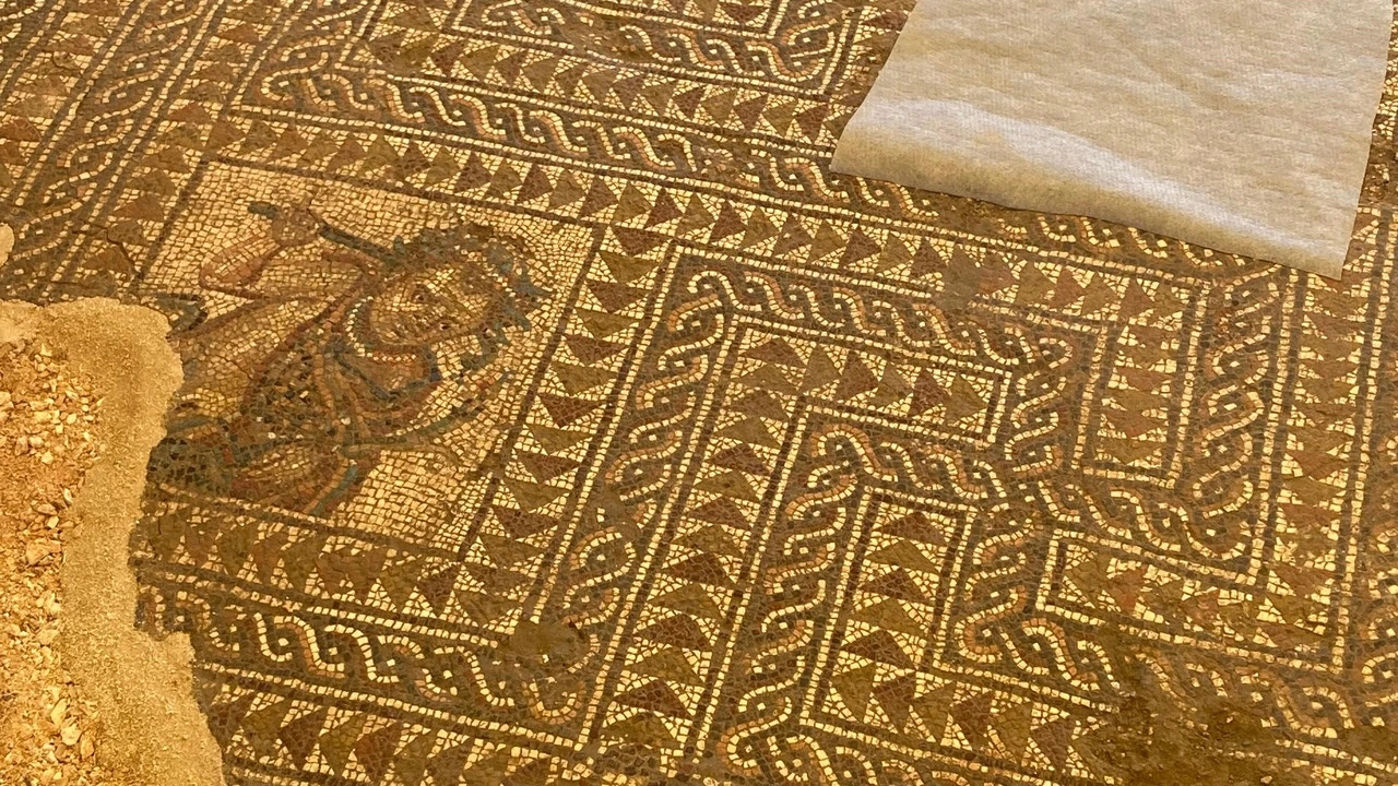 Un nuevo mosaico hallado en Écija corrobora el lujo, la ostentación y la riqueza de Roma