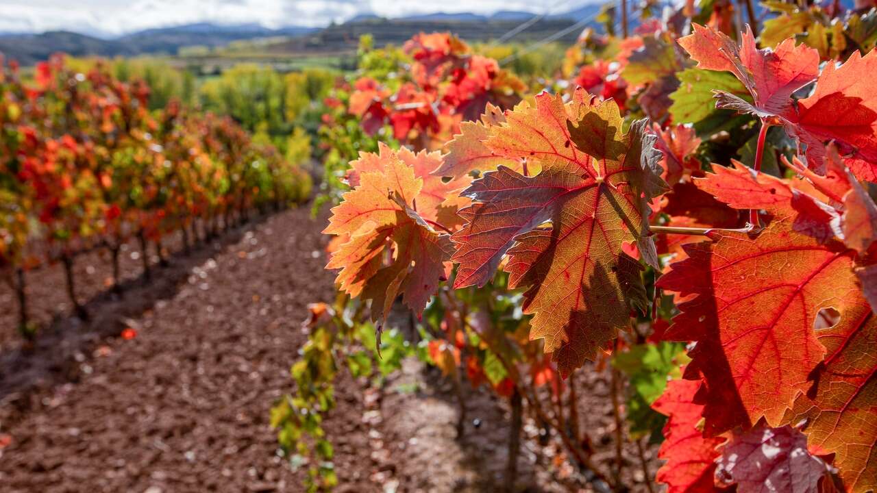 Rioja refuerza su Plan de Equilibrio y contiene sus presupuestos para 2025