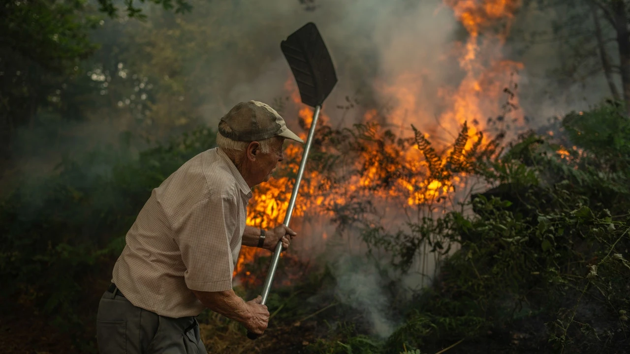 El fuego devora 100.000 hectáreas en ocho regiones