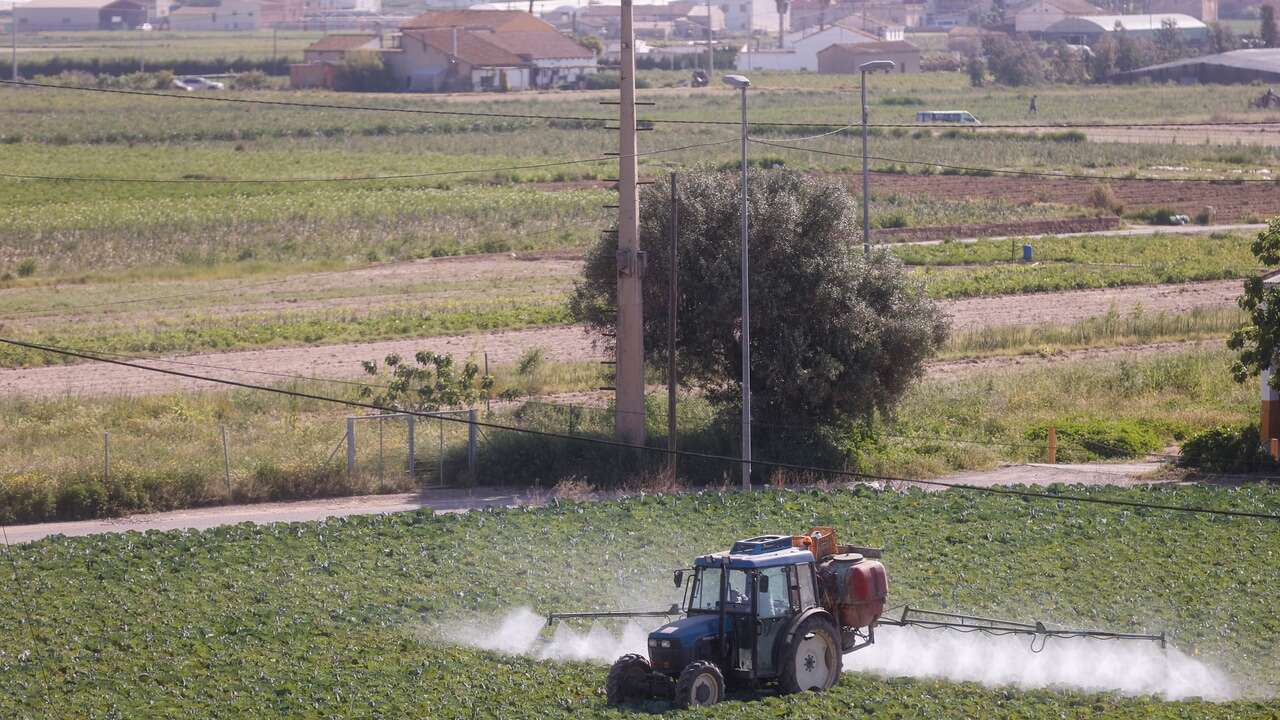 ¿Tiene carácter estratégico el sector agrario en la UE?