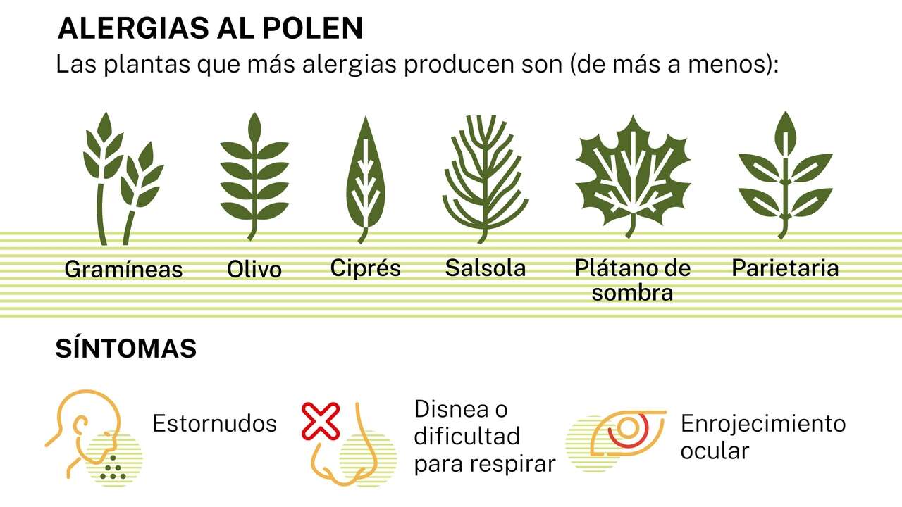 Así será la temporada de alergia primaveral por culpa de las lluvias