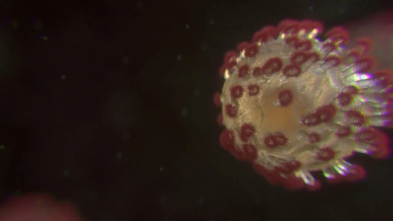 El hallazgo que redefine la medicina: así usan bacterias como 'caballos de Troya' para que los virus aniquilen el cáncer desde dentro