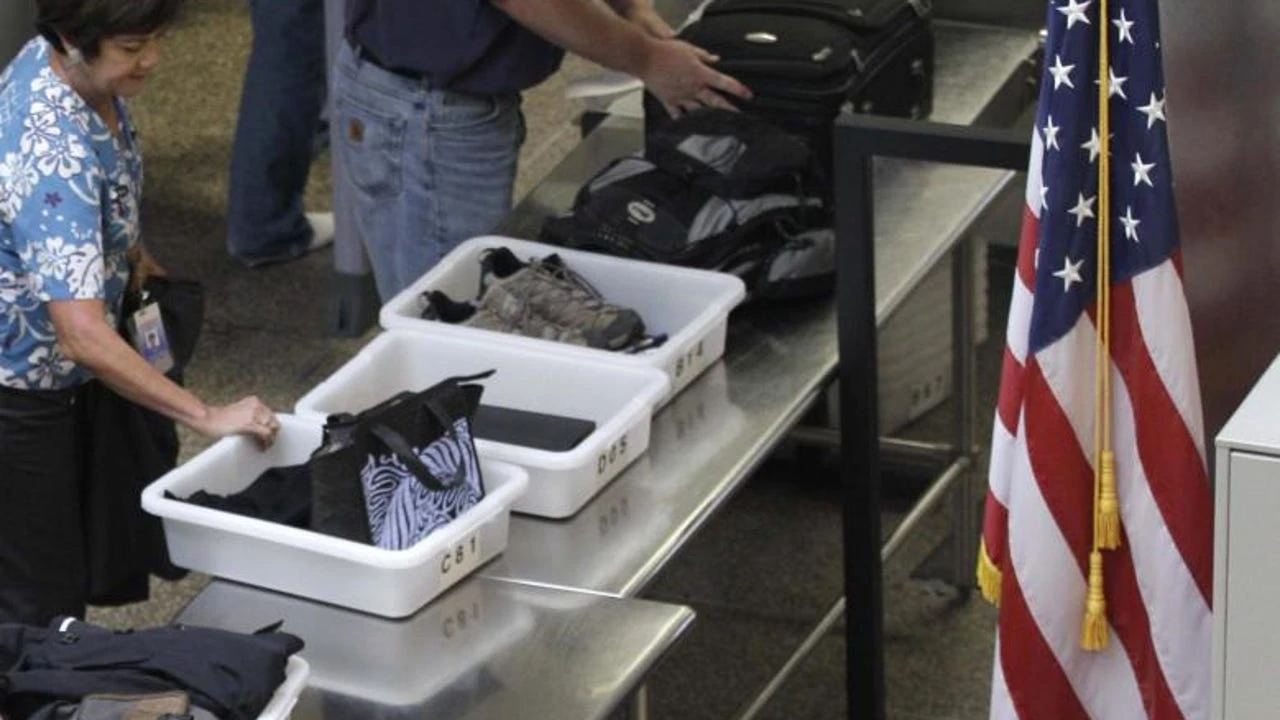 Una mujer intenta pasar el control de seguridad del aeropuerto ocultando tortugas dentro de su sujetador