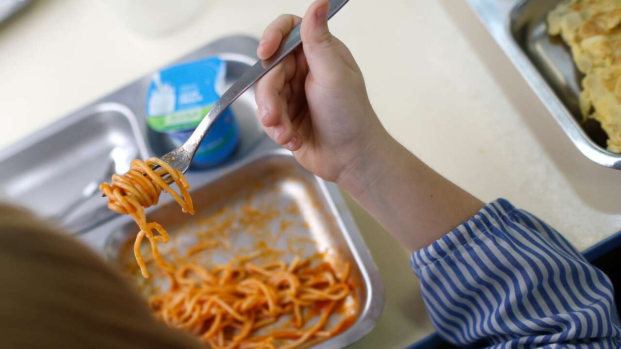 Menú escolar saludable: cómo tiene que ser y que alimentos debe incluir, según la OCU