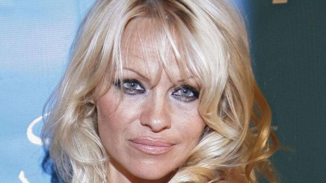 Pamela Anderson casi muere asesinada en un avión por un error