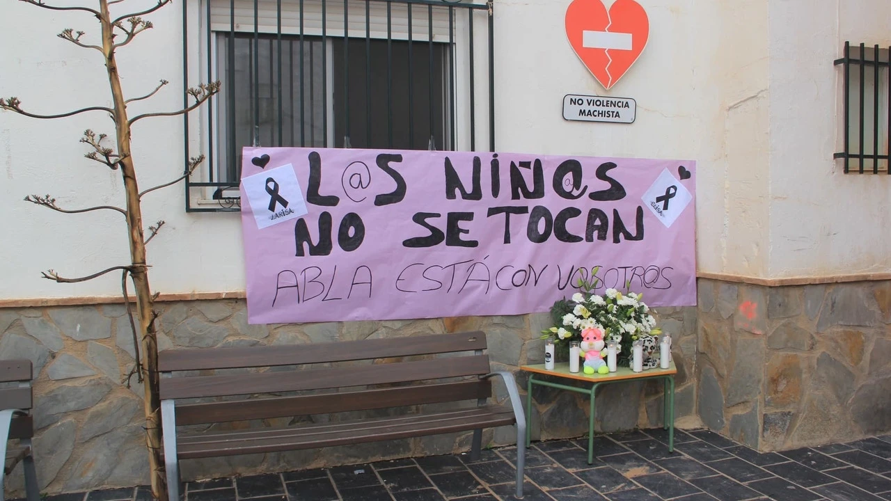 No dar medicinas, privar de aseo, insultar: la violencia vicaria no es sólo el asesinato