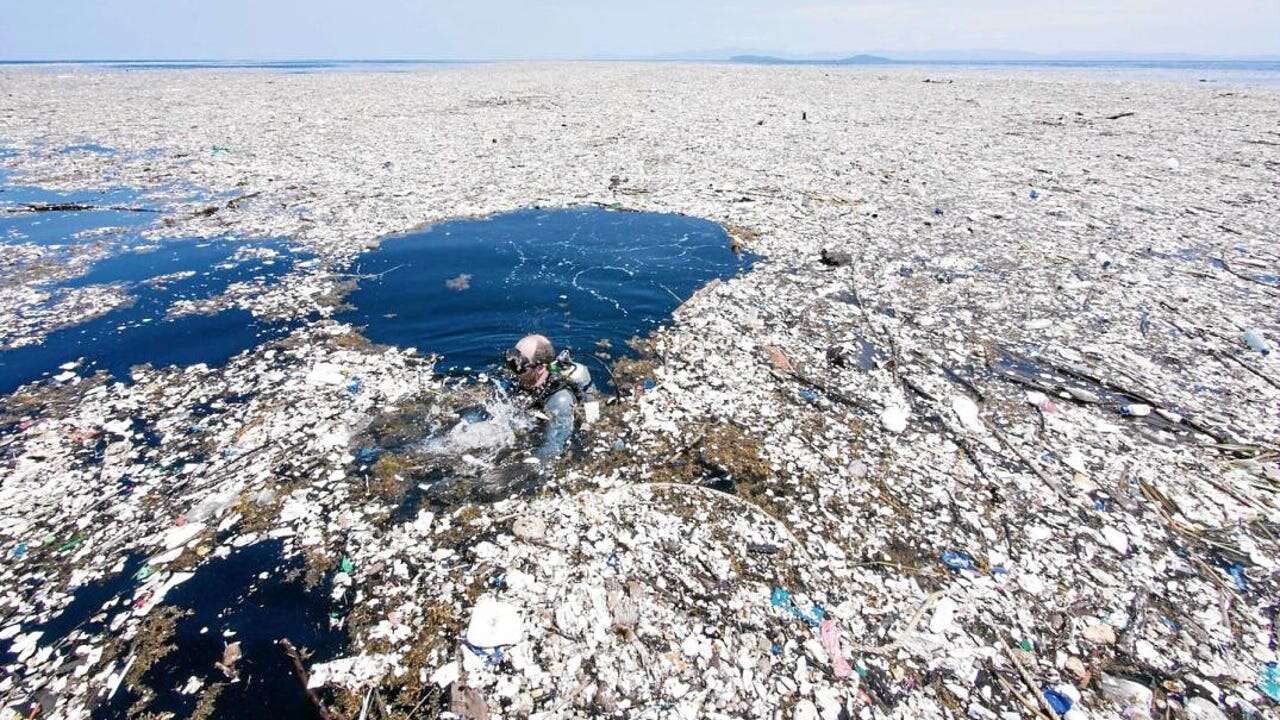 La Isla de Basura llena de vida en medio del Pacífico: 80.000 toneladas de plástico y tres veces el tamaño de Francia