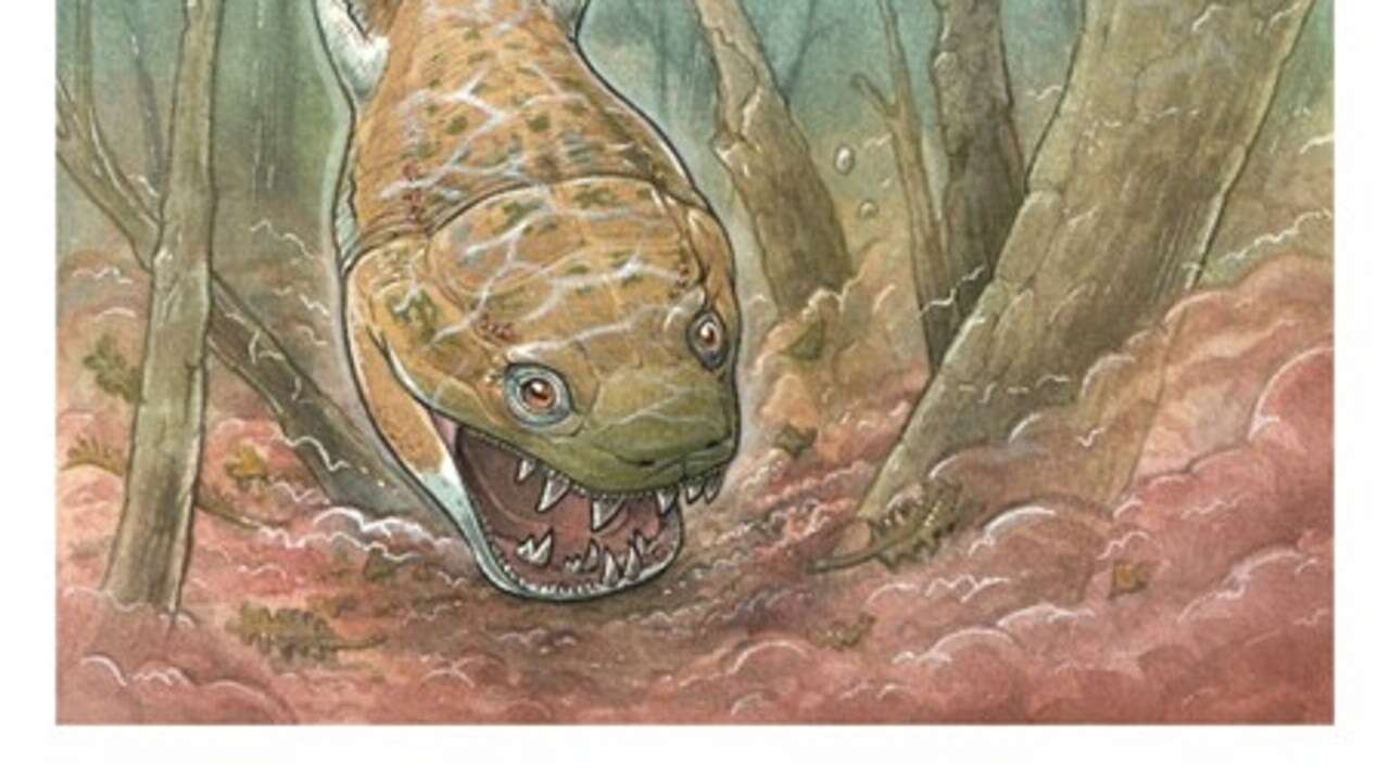 Antes de los dinosaurios, éste era el animal que aterrorizaba la Tierra: una salamandra carnívora gigante