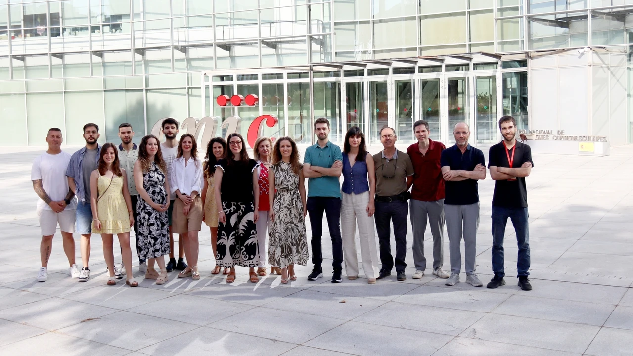 Investigadores españoles descubren qué acelera la aterosclerosis