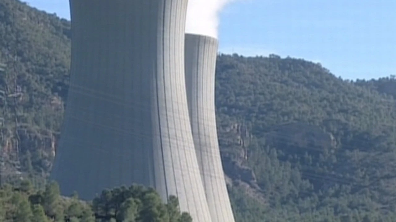 Red Eléctrico autorizó la única parada de nucleares solicitada este año justo antes del gran apagón