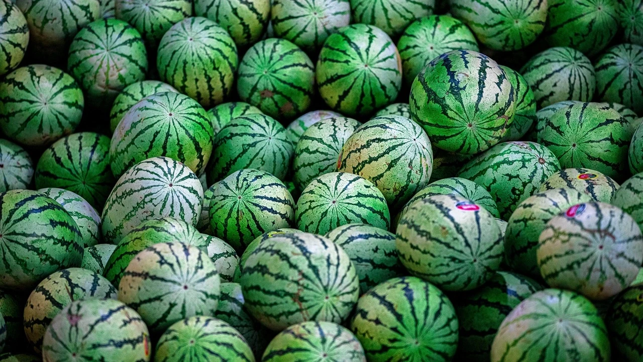 Cómo escoger una buena sandía: el truco andaluz que nunca falla y poca gente conoce
