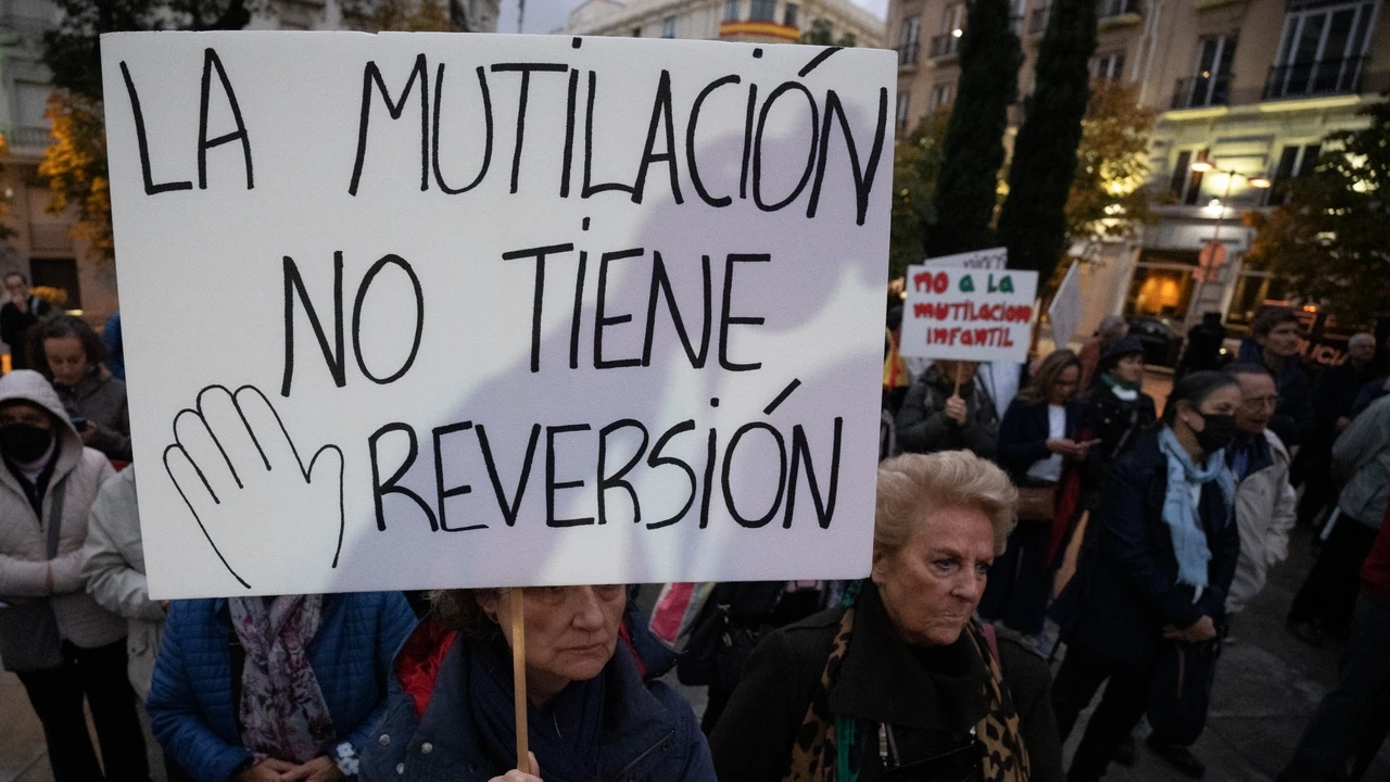 El borrador del TC descarta que la Ley Trans discrimine a la mujer: 