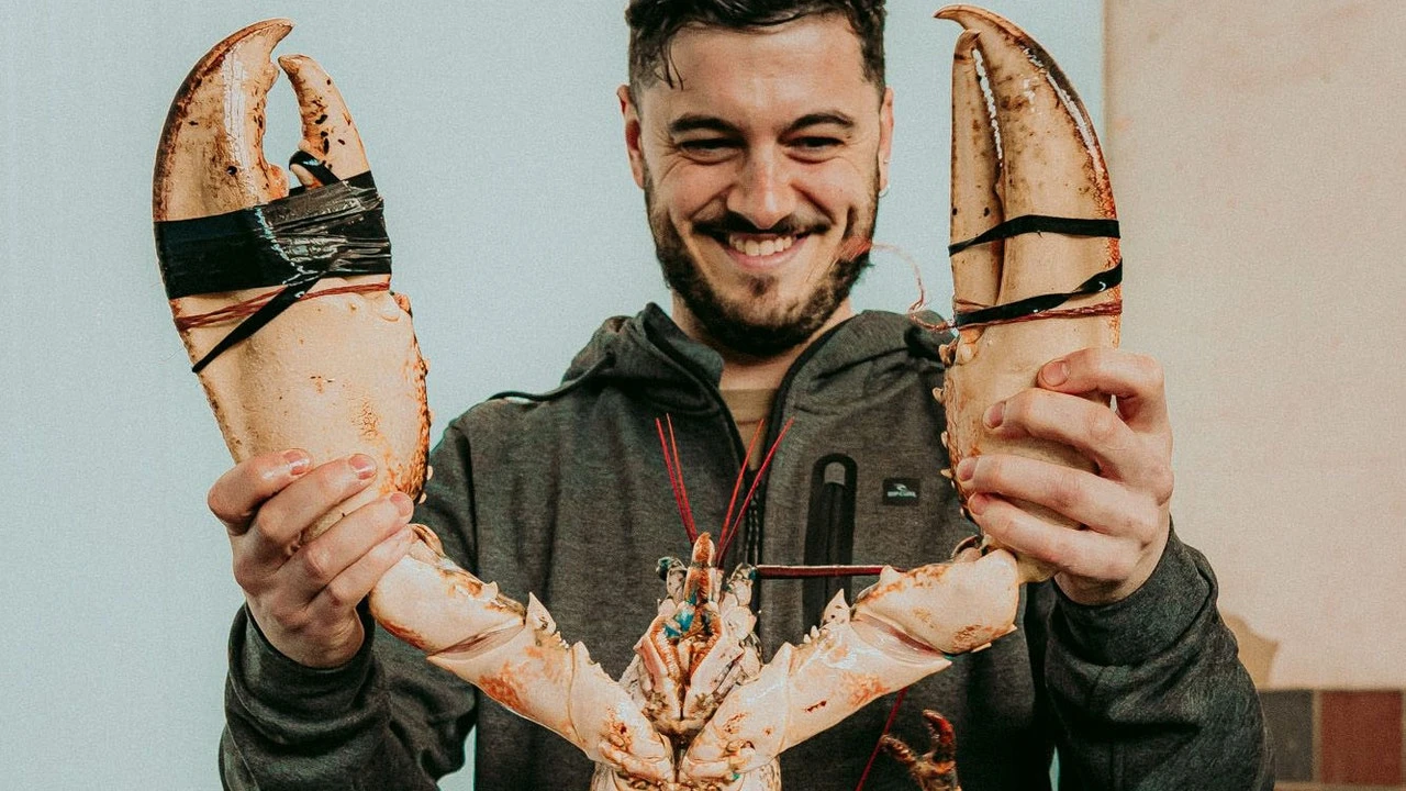 Dónde hace check in Marcos Mistry... Al Mesón Sancho va a comer la ventresca de bonito; los salmonetes le gustan los de El Estrecho y los molletes, los del bar Fiesta