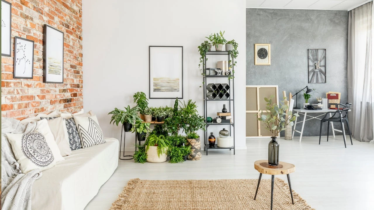 La peor planta que puedes tener en casa según el Feng Shui: se lleva todas las energías