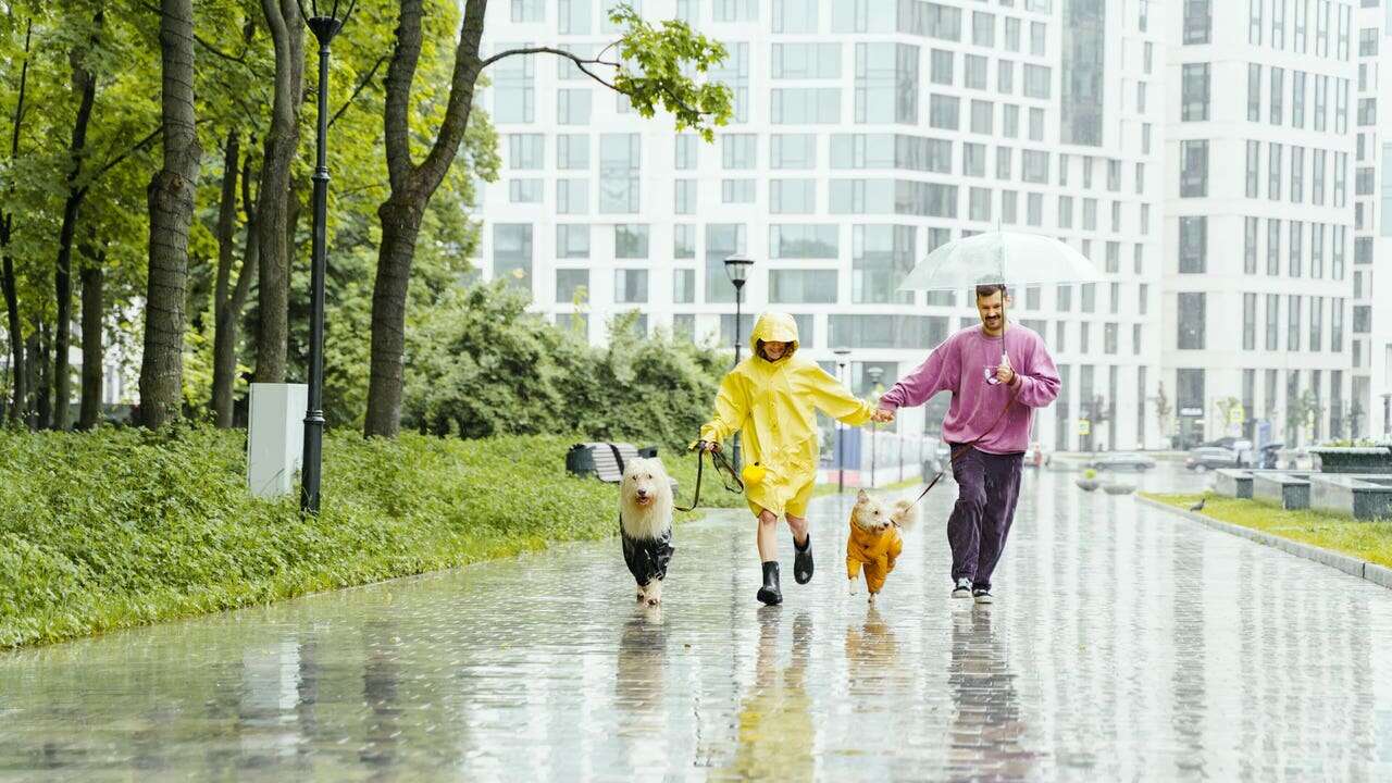 Giro radical en el tiempo: la AEMET avisa de un frente bastante activo que dejará lluvias y frío en gran parte de España