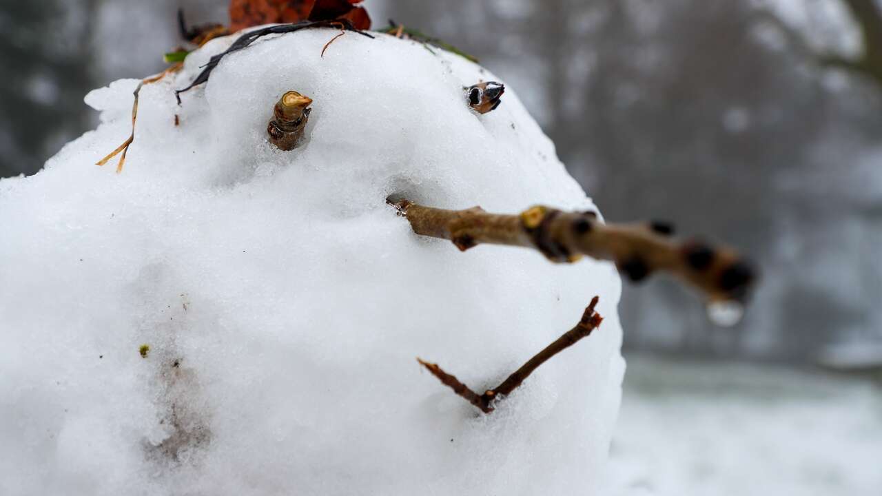 Los expertos adelantan el tiempo en febrero:¿habrá ola de frío y grandes nevadas?