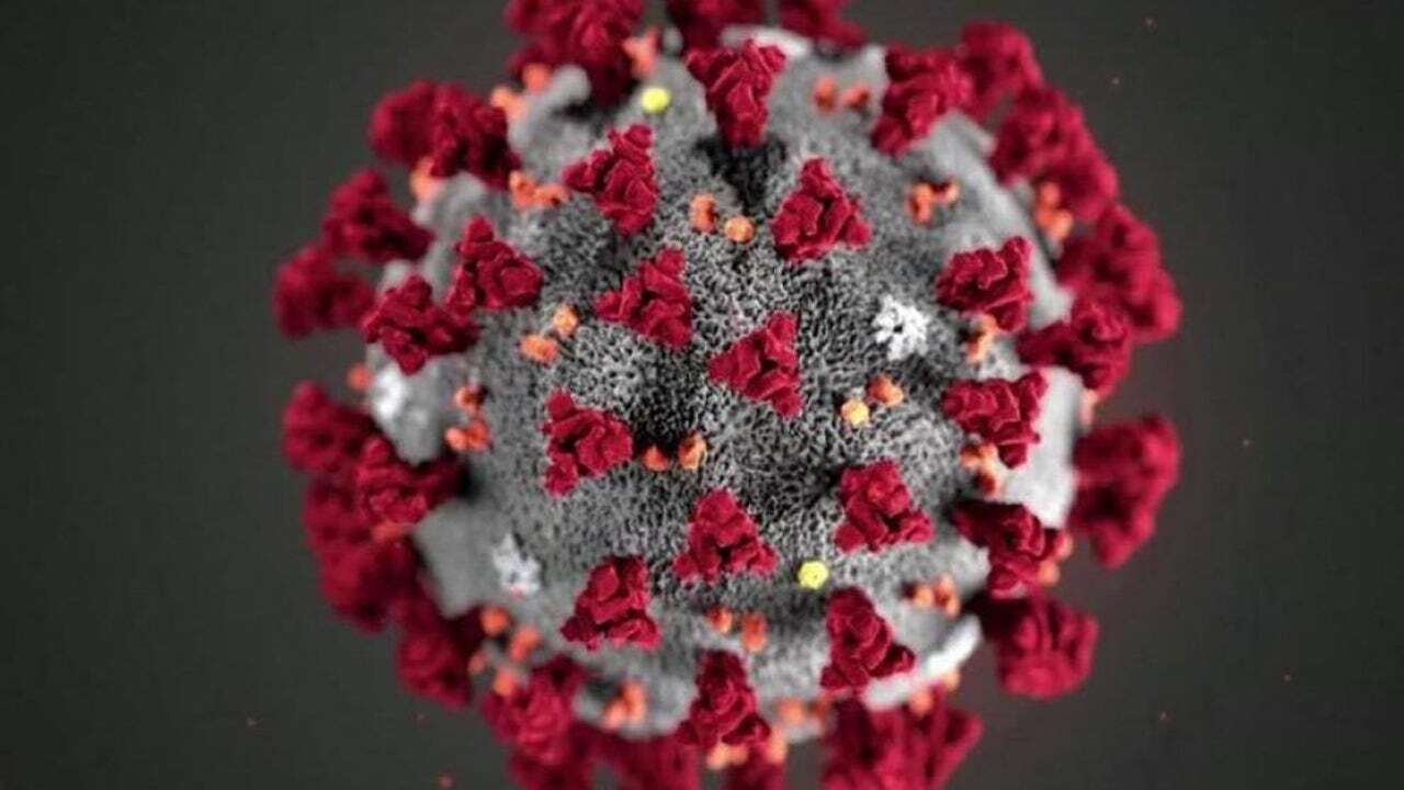 Alertan de que la infección por Covid-19 aumenta el riesgo cardiovascular hasta tres años después y el tipo de sangre influye