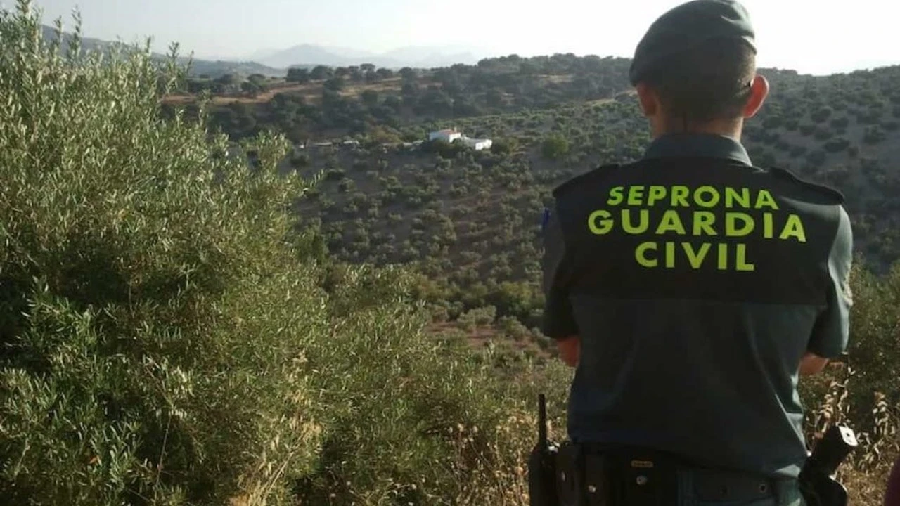 La Guardia Civil de Cáceres detiene a un hombre por provocar siete incendios forestales