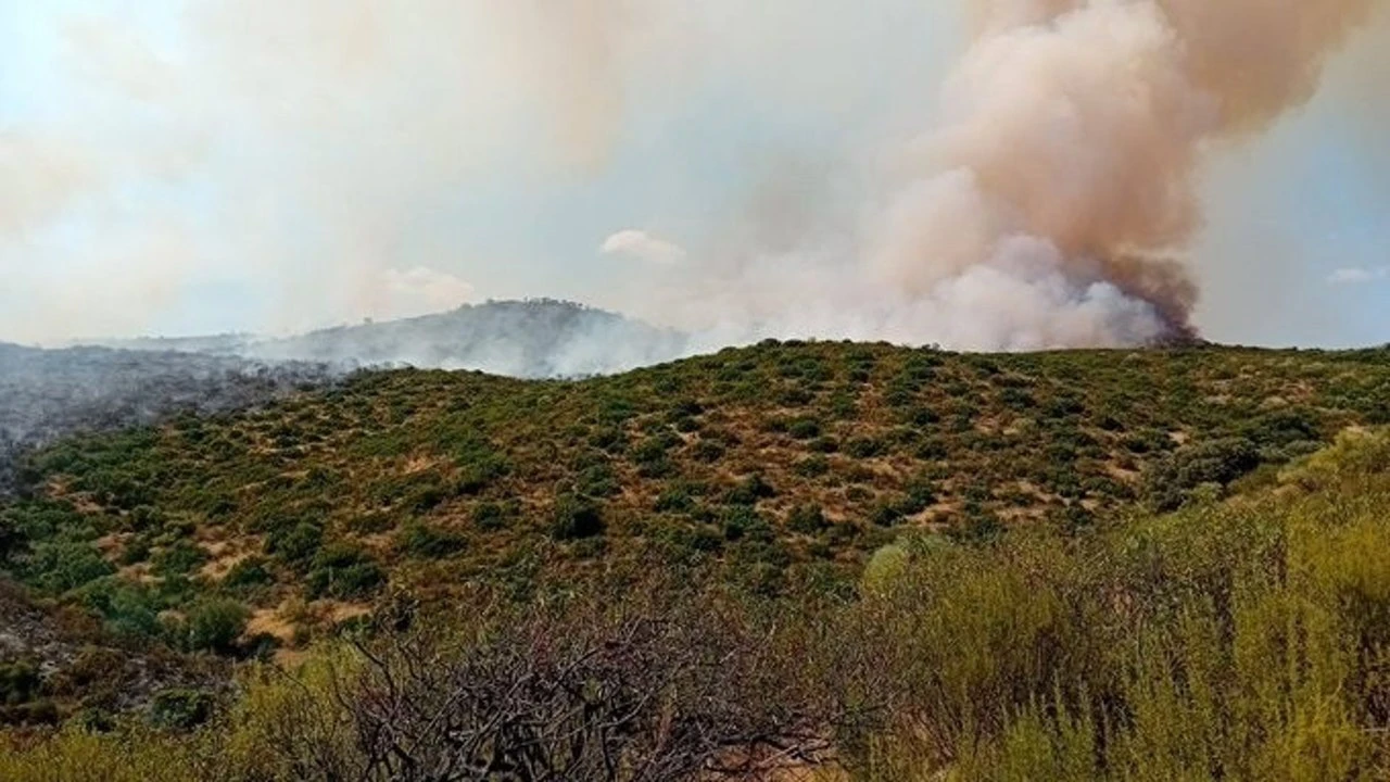 Once medios aéreos y ocho terrestres trabajan para estabilizar un incendio en la Sierra de Andújar (Jaén)