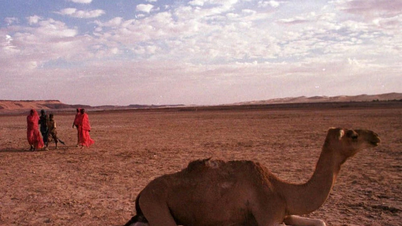 Buscadores de oro artesanales de Mauritania protestan ante las concesiones a las grandes empresas