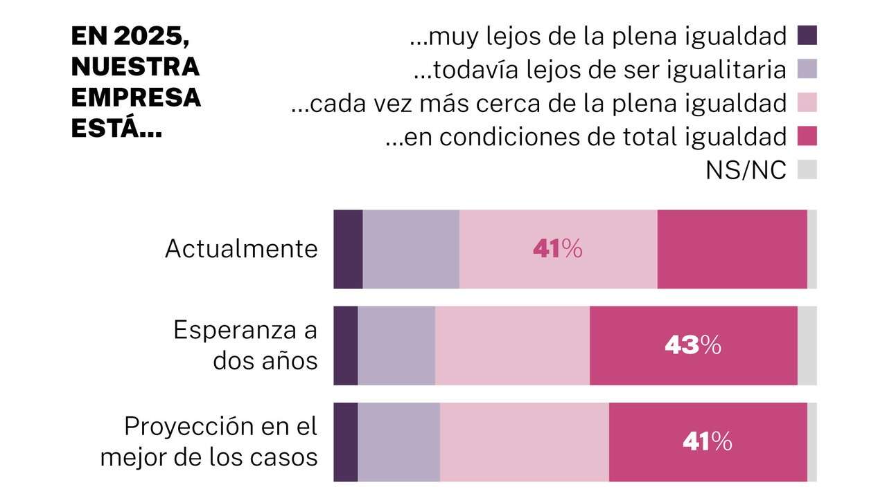 Sólo 3 de cada 10 empresas logran la igualdad de género