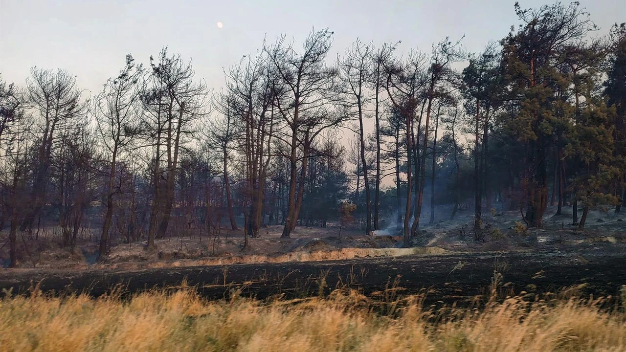 La lucha de Turquía contra varios incendios, en medio de una ola de calor que supera los 40 grados