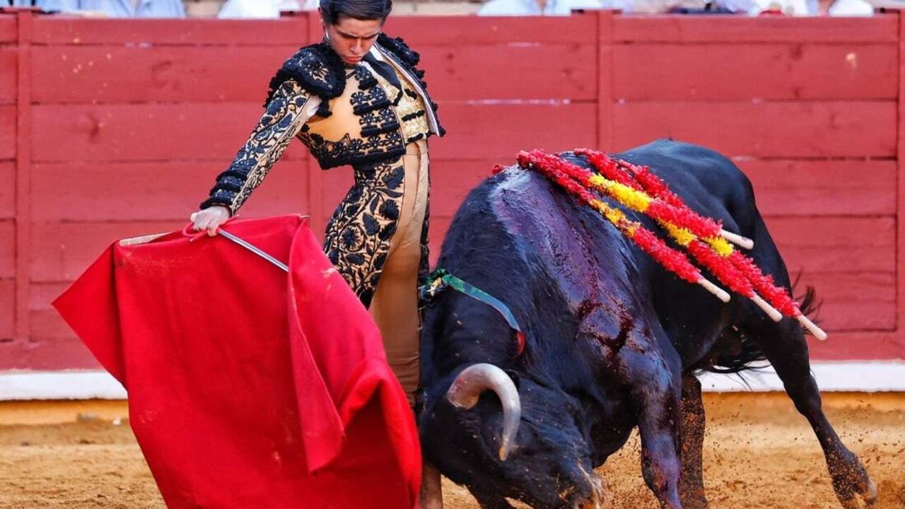 Manuel Román sorprende con su retirada indefinida de los ruedos