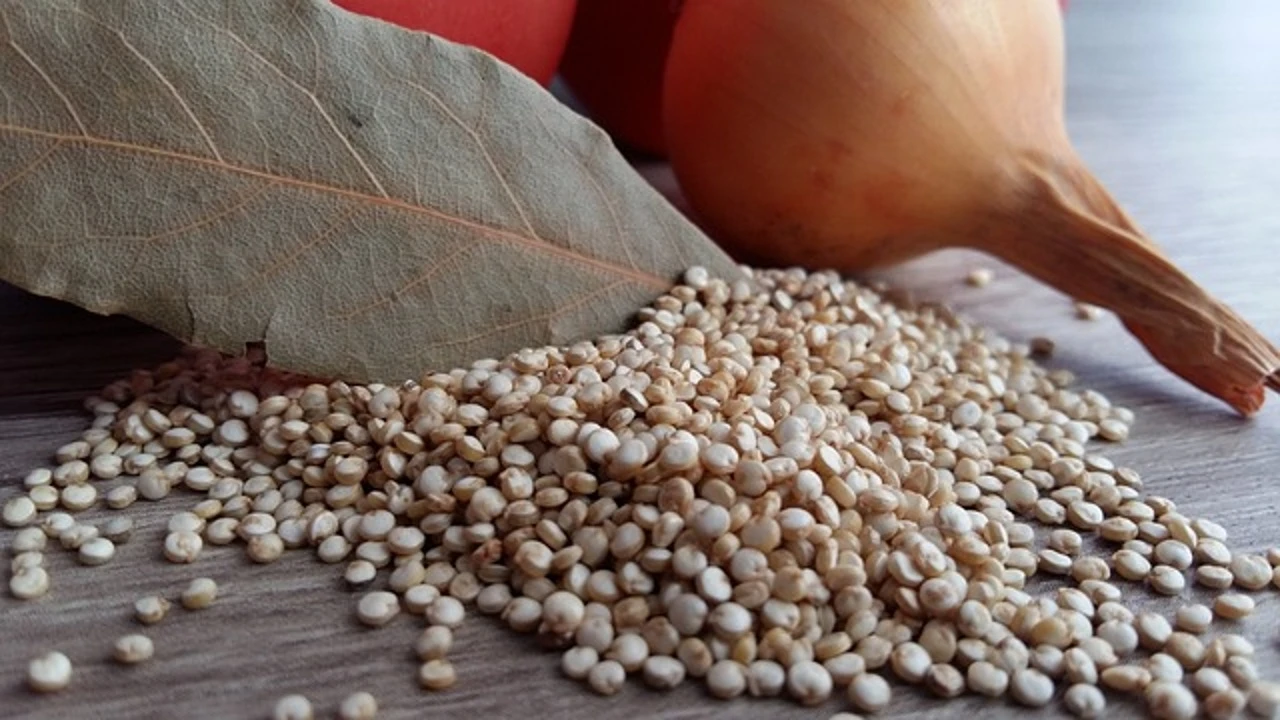 El poder mágico de la quinoa: ayuda a reprogramar el sistema inmunológico para prevenir enfermedades metabólicas crónicas