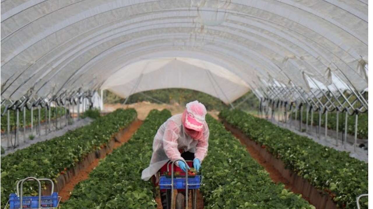 Agricultores y ganaderos se rebelan contra la reducción de jornada: 