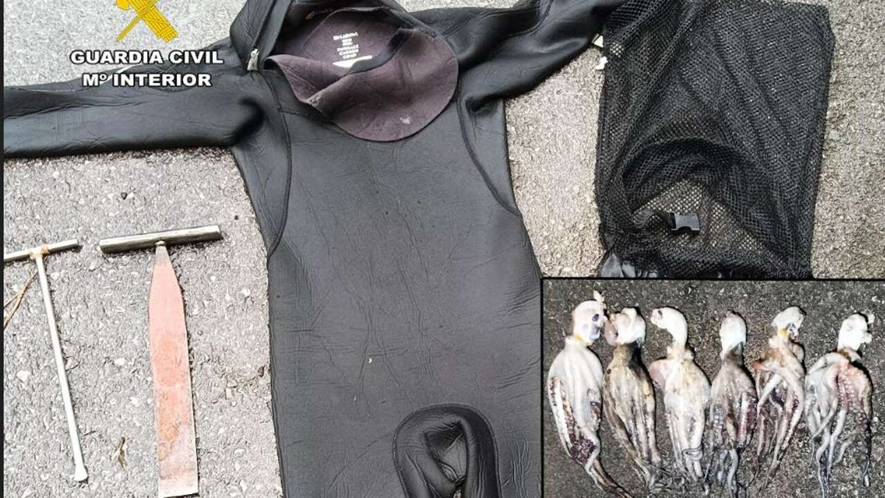 La Guardia Civil de Cantabria investiga a dos hombres por pesca furtiva de percebes