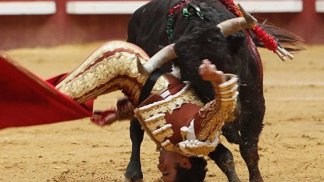 Perera y Fortes, en recuperación: Castella y Calletano, listos para hacer el paseíllo