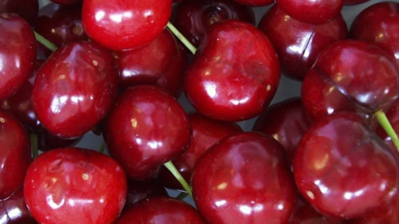 La UE lanza una alerta alimentaria 