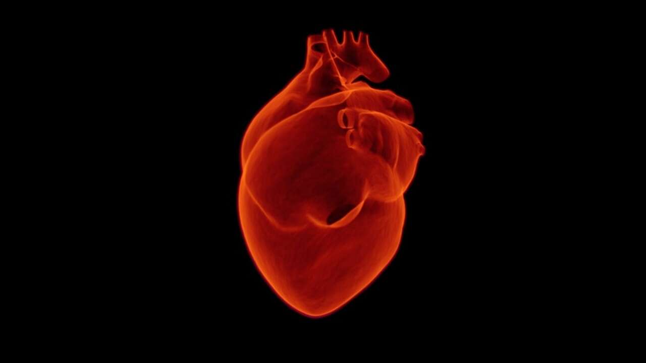 Descubren que la forma del corazón puede determinar el riesgo cardiovascular