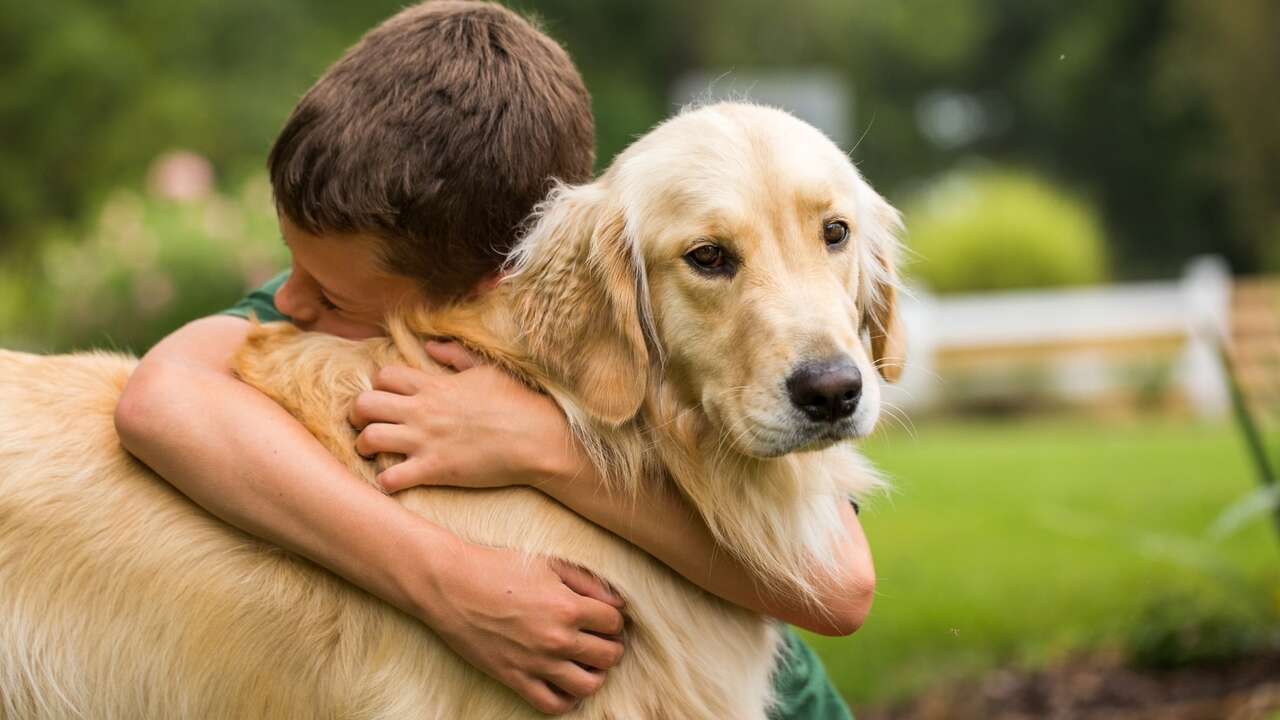 Las razas de perros que quieren más a sus dueños humanos que a su vida misma