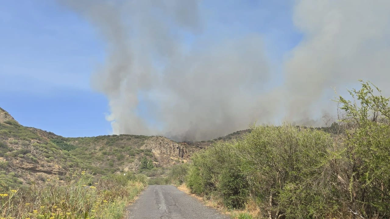 Fuego de Tenerife sin reactivaciones importantes y los vecinos pueden volver a sus casas