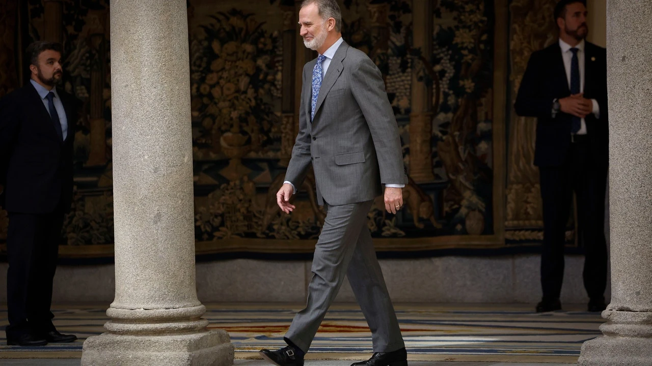 Felipe VI analiza 