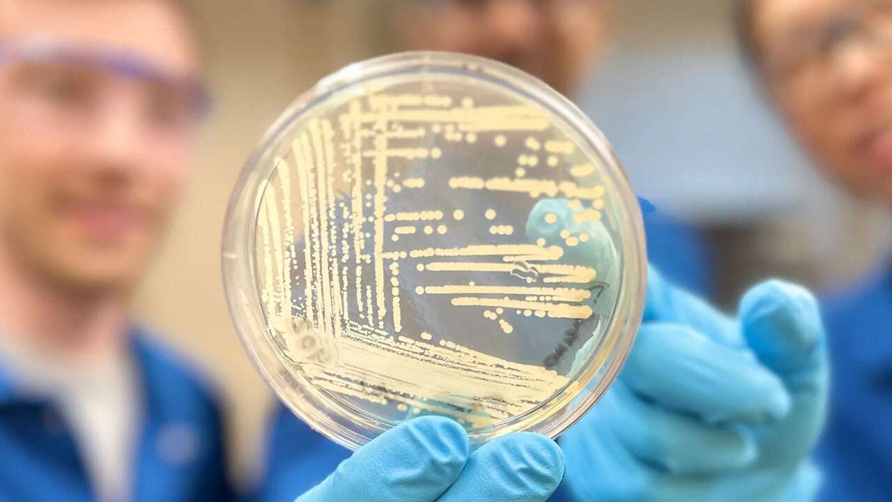 ¿Por fin un nuevo antibiótico? Descubren una molécula contra bacterias resistentes