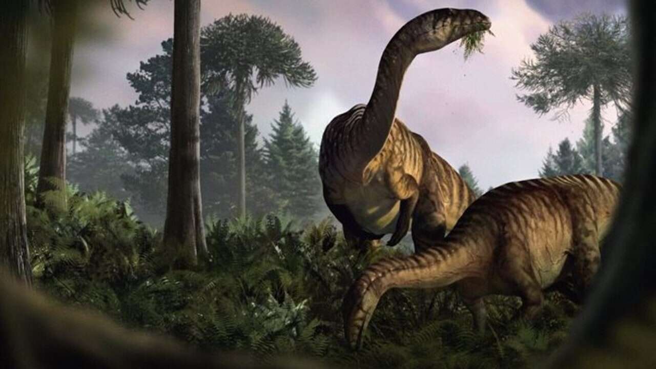 Estos excrementos esconden el secreto del éxito de los dinosaurios, que lograron reinar durante casi 200 millones de años