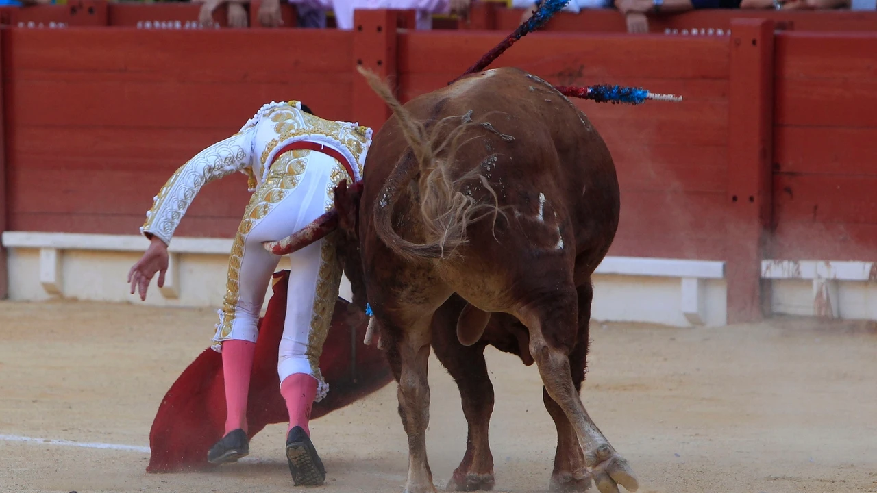 Marco Pérez, con fisura en la cadera, baja indefinida tras una cogida en Alicante