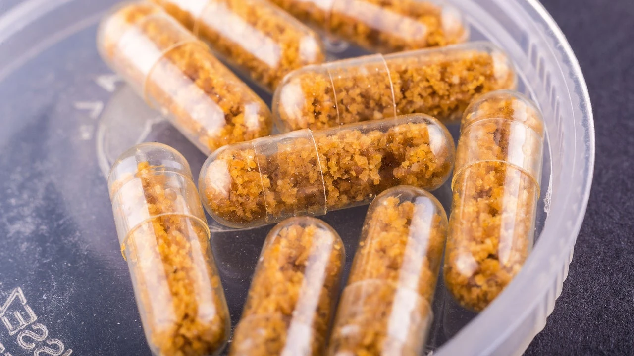 El trasplante de microbiota fecal no logra la remisión en Crohn