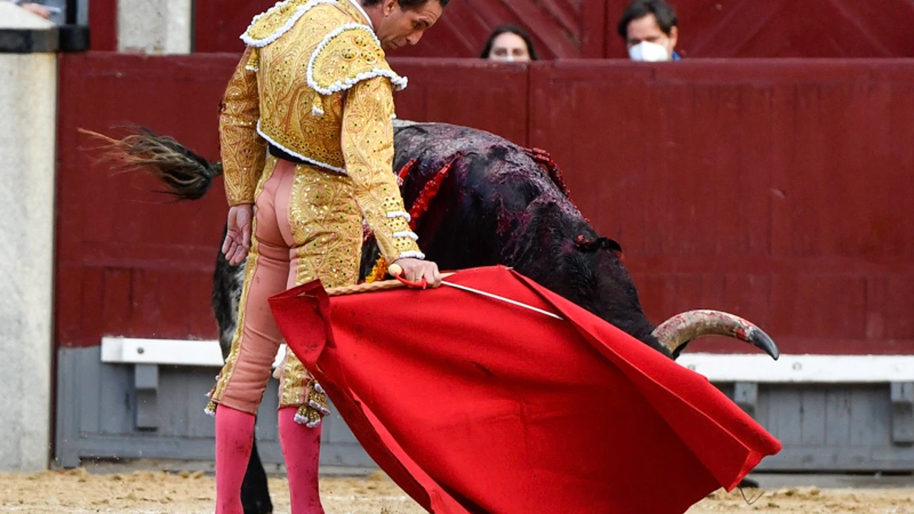 ¿Qué es un sobresaliente y cuándo se debe contratar en una corrida de toros?