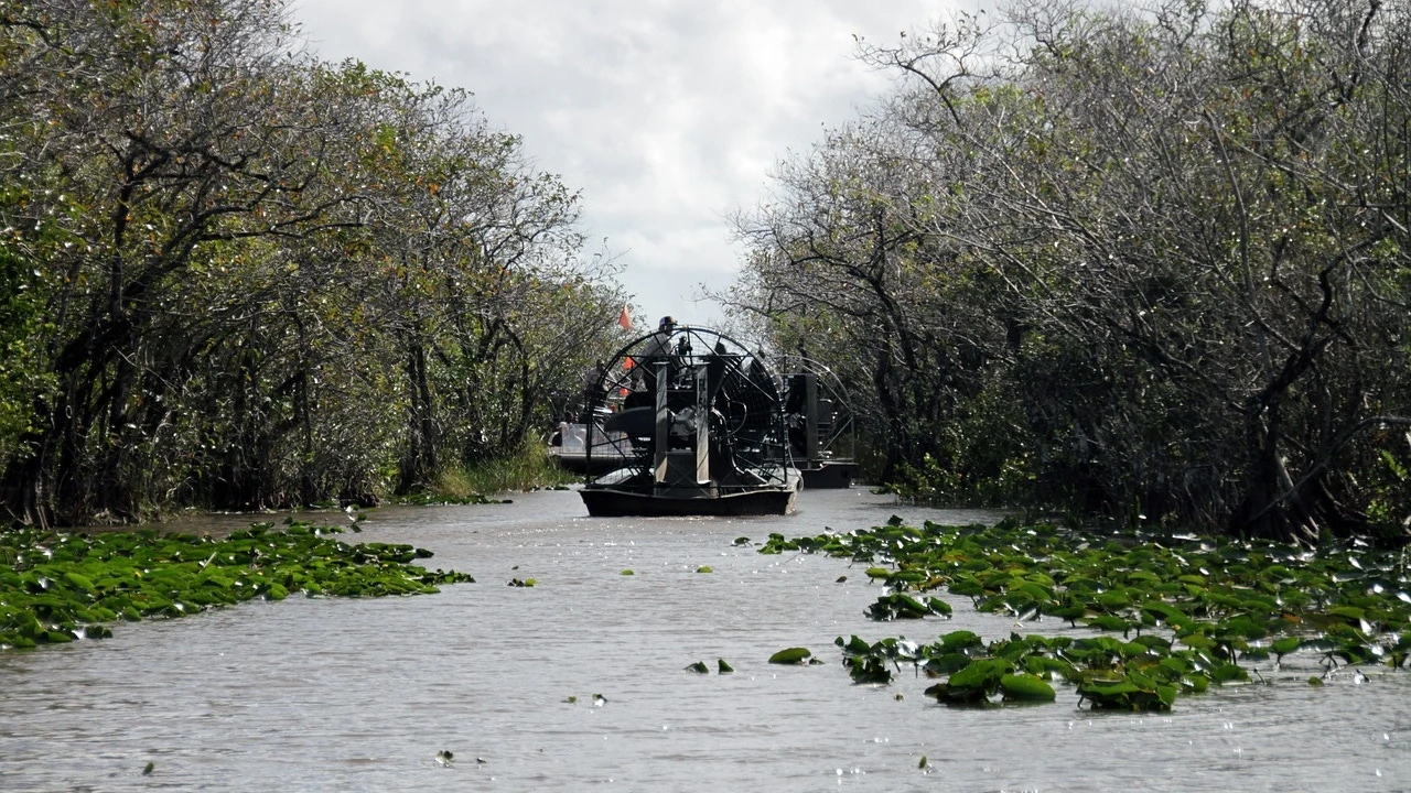 Alligator Alcatraz: así será la nueva y temible cárcel para inmigrantes rodeada de serpientes y caimanes de Florida