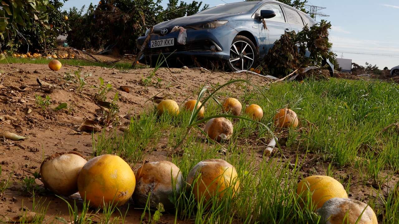 «Les barrancaes» se llevaron la barraca: las pérdidas en el campo valenciano por la DANA superan ya los 1.000 millones. ¿Habrá naranjas este año?