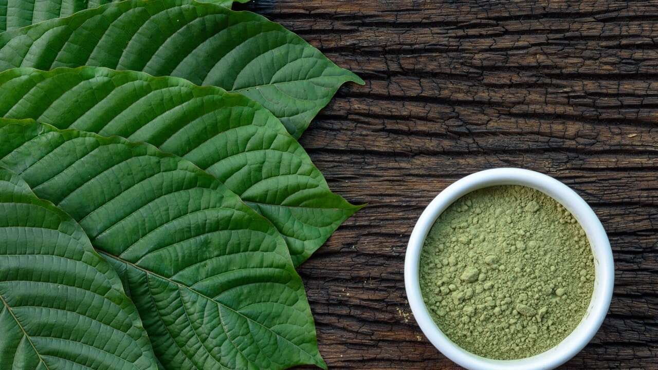 Kratom: La planta relacionada con el café que preocupa a las autoridades por sus efectos