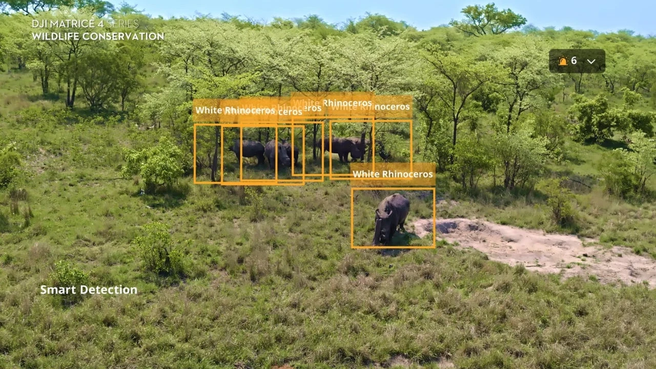 El dron que quiere salvar una especie en peligro de extinción