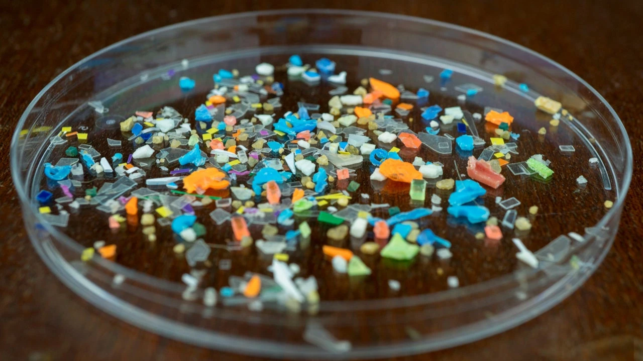 Esta es la manera sorprendente de eliminar todos los microplásticos de tu agua de forma casera