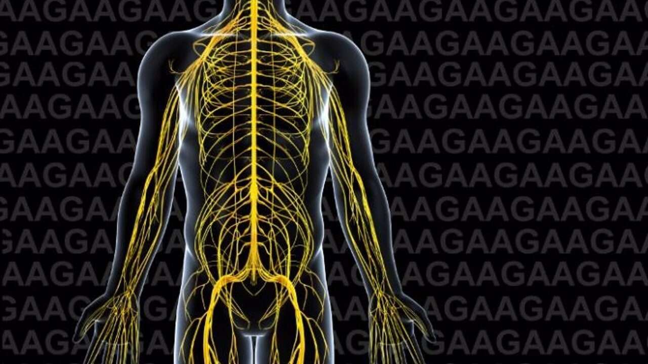 La personas con ataxia de Friedreich esperan en torno a 3 años para recibir un diagnóstico