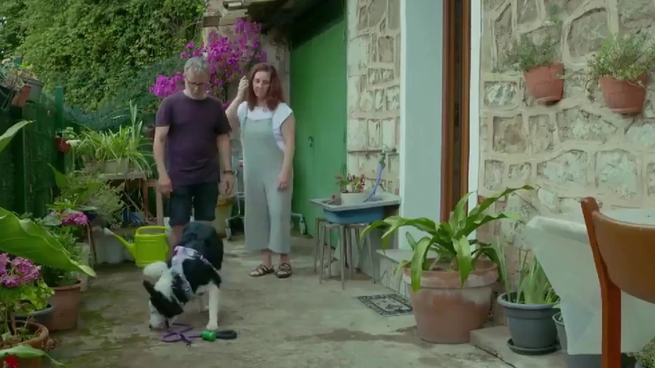 'Dog House' muestra cómo un perro derriba las barreras de la comunicación