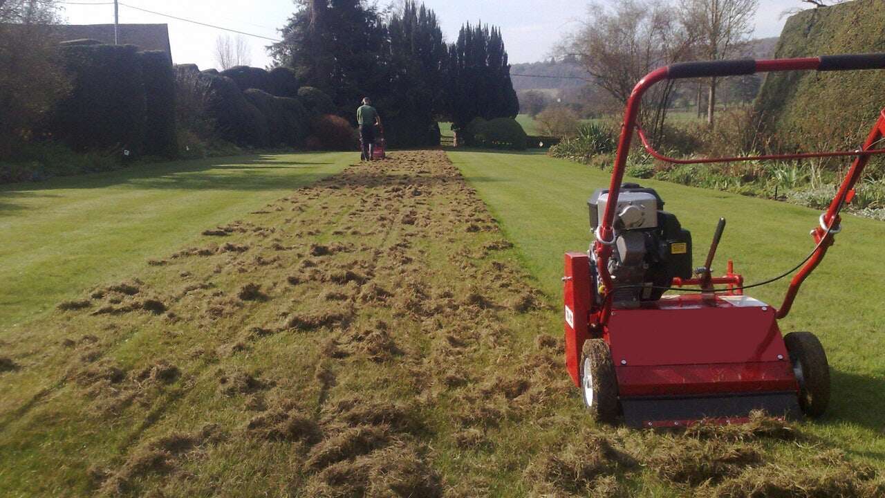 Este es el momento perfecto del año para escarificar el césped, según los jardineros